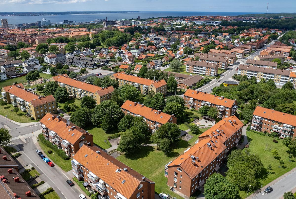 Överblick över området Wilson Park